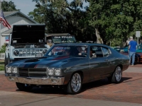 1970 Chevrolet Chevelle for sale in Michigan (ID-161892)