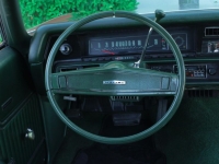 1970 Chevrolet Chevelle for sale (ID-162411)