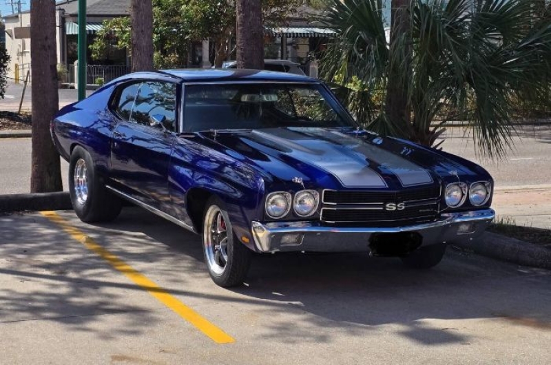1970 Chevrolet Chevelle for sale in Michigan (ID-162947)