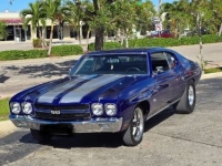 1970 Chevrolet Chevelle for sale in Michigan (ID-162947)