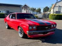 1970 Chevrolet Chevelle for sale in Michigan (ID-163895)