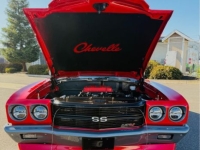 1970 Chevrolet Chevelle for sale in Michigan (ID-163895)
