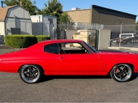 1970 Chevrolet Chevelle for sale in Michigan (ID-163895)