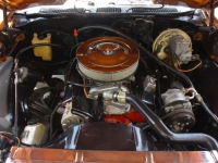 1970 Chevrolet Chevelle for sale (ID-164010)