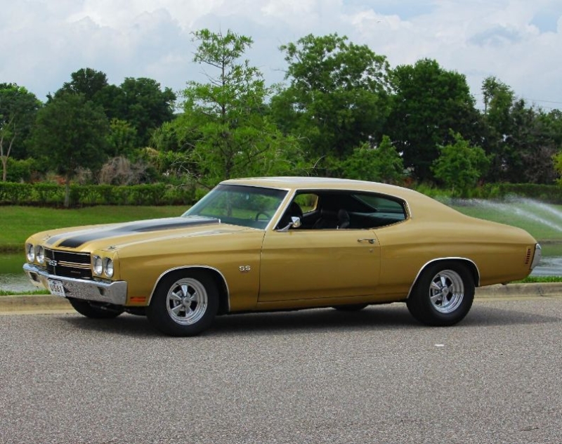 1970 Chevrolet Chevelle for sale (ID-164176)