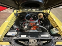 1970 Chevrolet Chevelle for sale in Michigan (ID-164500)