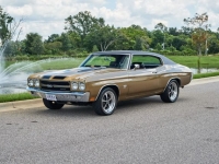 1970 Chevrolet Chevelle SS for sale in Riverhead, New York (ID-119401)