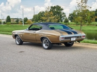1970 Chevrolet Chevelle SS for sale in Riverhead, New York (ID-119401)