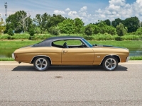 1970 Chevrolet Chevelle SS for sale in Riverhead, New York (ID-119401)