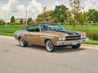 1970 Chevrolet Chevelle SS for sale in Riverhead, New York (ID-119401)