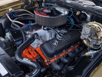 1970 Chevrolet Chevelle SS for sale in Riverhead, New York (ID-119401)