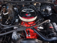 1970 Chevrolet Chevelle SS for sale in Riverhead, New York (ID-124280)