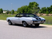 1970 Chevrolet Chevelle SS for sale in Riverhead, New York (ID-127850)