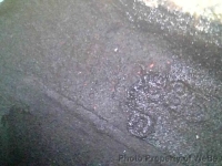 1970 Chevrolet Chevelle SS for sale in Riverhead, New York (ID-133194)