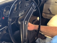 1970 Chevrolet Chevelle SS for sale (ID-126785)