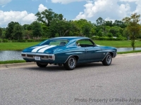 1970 Chevrolet Chevelle SS for sale in Riverhead, New York (ID-142858)