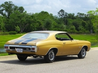1970 Chevrolet Chevelle SS for sale (ID-162717)