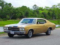1970 Chevrolet Chevelle SS for sale (ID-162717)