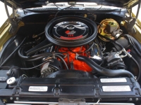 1970 Chevrolet Chevelle SS for sale (ID-162717)