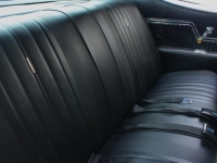 1970 Chevrolet Chevelle SS for sale (ID-162923)