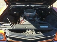 1970 Chevrolet El Camino for sale in Michigan (ID-116313)