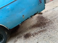 1970 Chevrolet Impala for sale in Michigan (ID-155272)