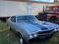 1970 Chevrolet Malibu for sale in Michigan (ID-119311)