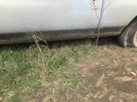 1970 Chevrolet Malibu for sale in Midlothian, Texas (ID-141058)