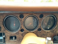 1970 Chevrolet Monte Carlo for sale in Michigan (ID-118612)