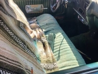 1970 Chevrolet Monte Carlo for sale in Michigan (ID-132973)