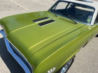 1970 Chevrolet Nova for sale in Addison, Illinois (ID-119960)