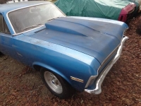 1970 Chevrolet Nova for sale in Michigan (ID-124130)