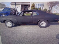 1970 Chevrolet Nova for sale in Michigan (ID-124141)