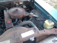 1970 Chevrolet Nova for sale in Michigan (ID-124146)