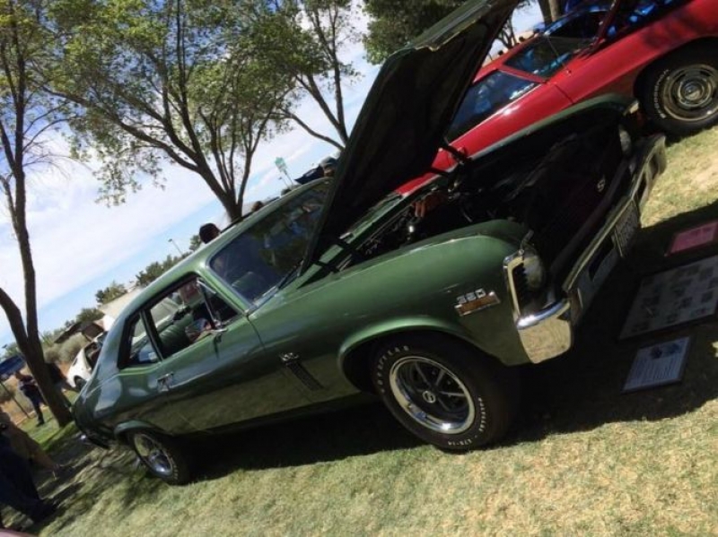 1970 Chevrolet Nova for sale in Michigan (ID-126460)