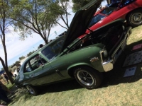 1970 Chevrolet Nova for sale in Michigan (ID-126460)
