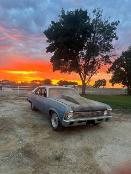 1970 Chevrolet Nova for sale in Michigan (ID-128274)