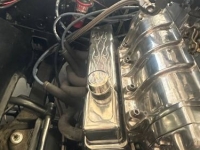 1970 Chevrolet Nova for sale in Michigan (ID-137282)