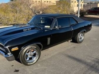 1970 Chevrolet Nova for sale in Michigan (ID-138303)