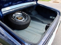 1970 Chevrolet Nova SS for sale in Riverhead, New York (ID-118843)