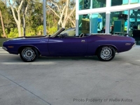 1970 Dodge Challenger for sale in Riverhead, New York (ID-135841)