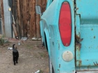 1970 Dodge D200 for sale in Michigan (ID-144738)