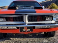 1970 Dodge Demon for sale in Riverhead, New York (ID-123965)