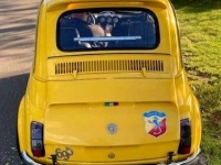 1970 Fiat 500 for sale in Michigan (ID-144269)