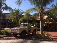 1970 Ford Bronco for sale in Michigan (ID-113493)