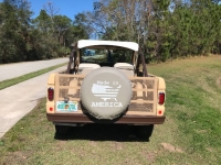 1970 Ford Bronco for sale in Michigan (ID-113493)