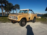 1970 Ford Bronco for sale (ID-127766)