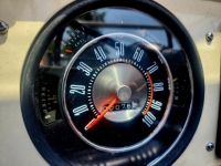 1970 Ford Bronco for sale in Michigan (ID-133923)