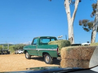 1970 Ford F100 for sale in Michigan (ID-130252)