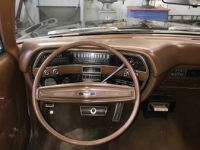 1970 Ford Galaxie for sale in Michigan (ID-163079)